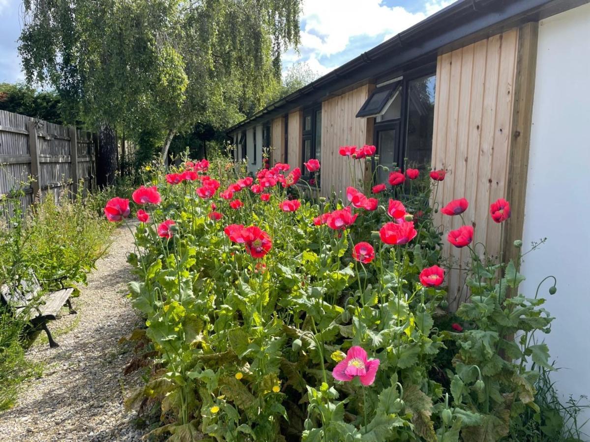 The Bearded Goat Den - A Rural Retreat At This Modern Holiday Cottage Saint Leonards Exterior foto